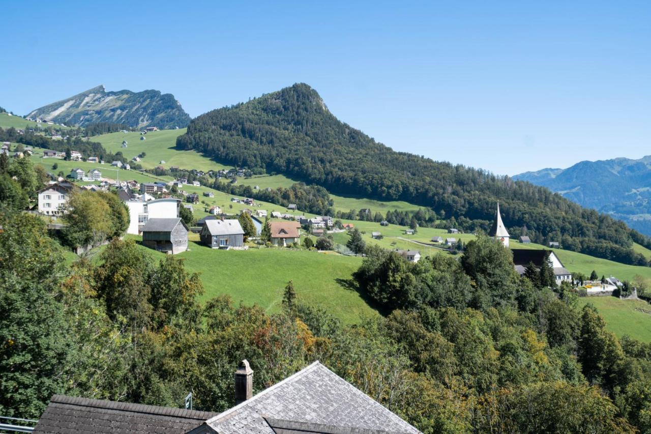 Apartment Penthouse Brugg アムデン エクステリア 写真